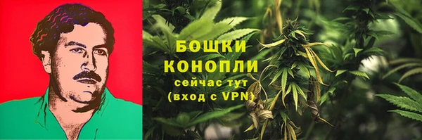 крисы Нея
