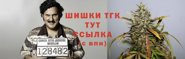 крисы Нея
