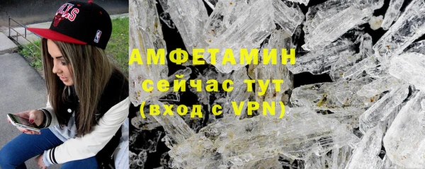 прущие грибы Нефтекумск