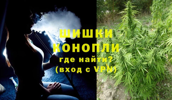 прущие грибы Нефтекумск