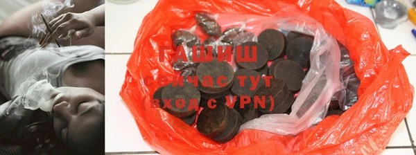прущие грибы Нефтекумск