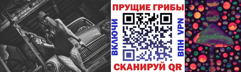 Псилоцибиновые грибы MAGIC MUSHROOMS  Купить закладки  Алексин 